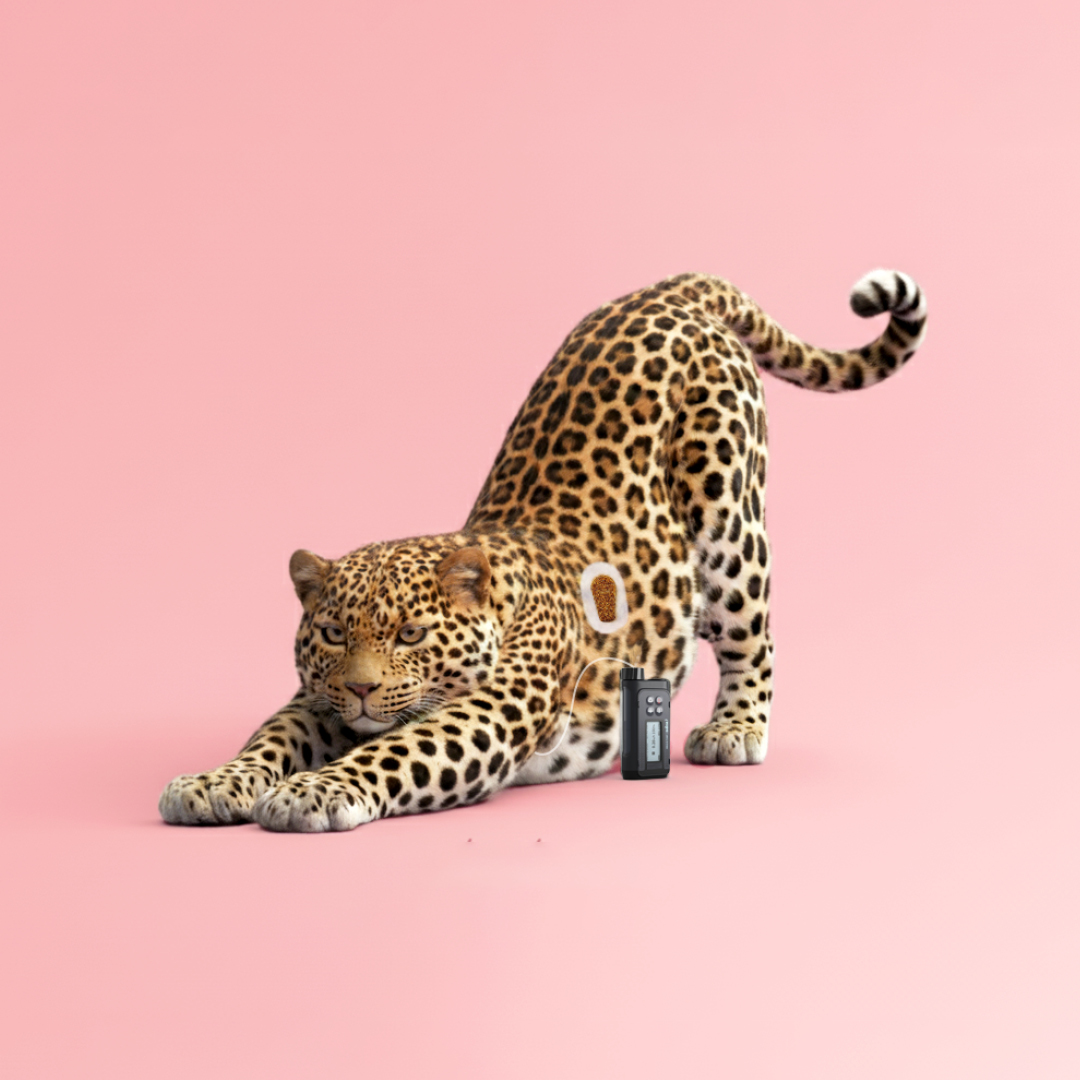 Asten Event 2022 - photo de groupe